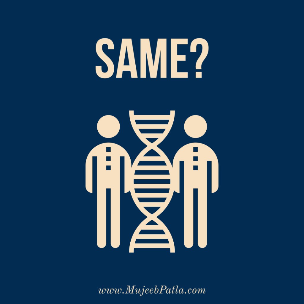 You Are Not Different, mujeeb patla