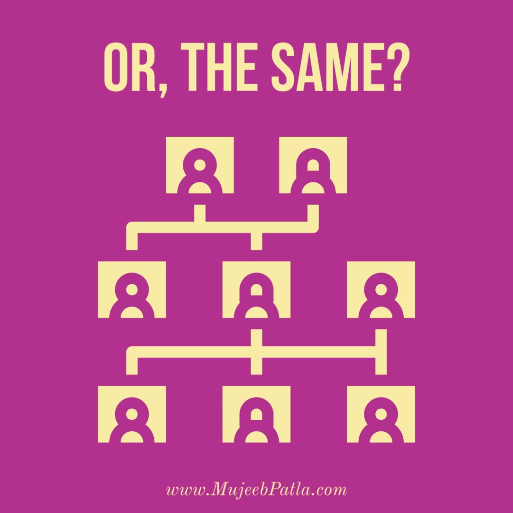 Are We Different, or The Same?, mujeeb patla