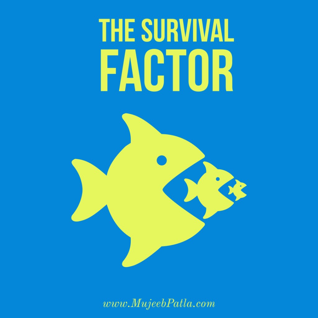 The Survival Factor, Mujeeb Patla